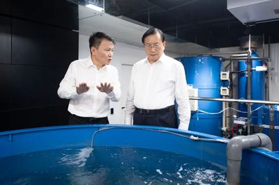 王忠林调研民营企业发展并召开座谈会 深化技术推广服务，激发民营经济新动能