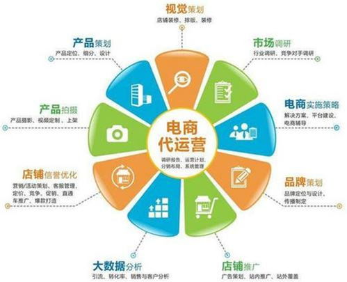 新创电子 安阳淘宝代运营与电商帮运营的完美结合