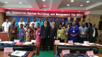 技术推广服务中心的教育咨询 赋能教育与技术的融合创新